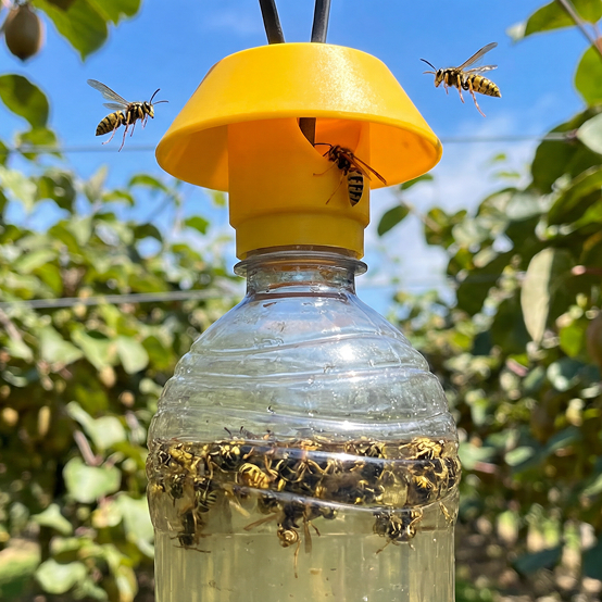 Bee-Safe Wasp Trap