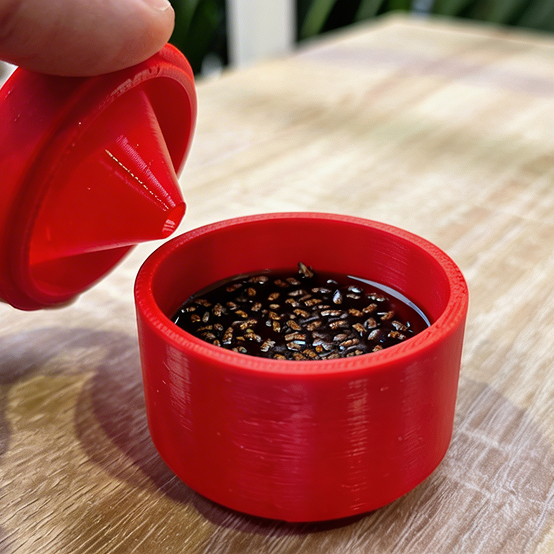 Indoor Fruit Fly Trap